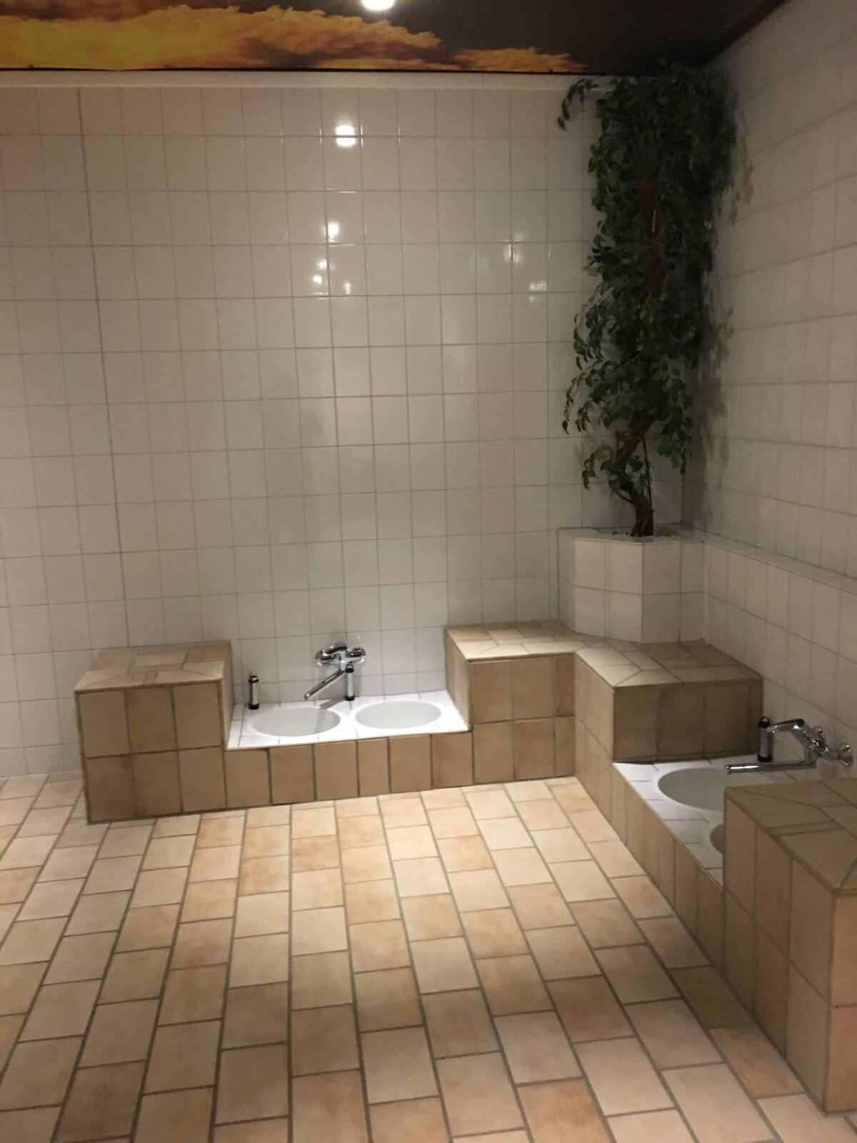 Penthouse Brockenblick 381